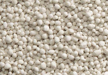 Kieserite Fertiliser | 25% MgO, 50% SO₃ | Water-Soluble Magnesium
