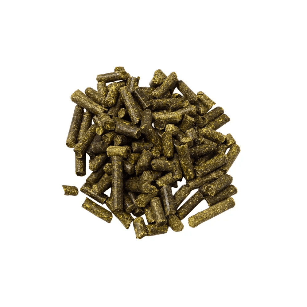 Alfalfa Meal Pellets — pile of dark green cylindrical alfalfa pellets