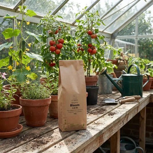 Organic Bloom Fertiliser — kraft Bloom 2-8-10 bag on greenhouse bench with tomatoes, cucumbers, herbs and watering cans