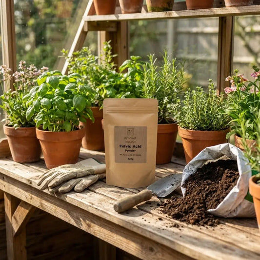 Fulvic Acid Powder — kraft pouch on sunlit bench with potted basil, rosemary and open soil sack in greenhouse