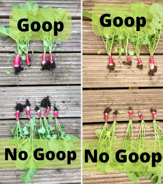 Soil Smiths "The Goop". Premium Microbial Concentrate Dr Forest