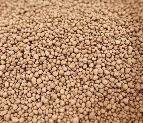 Close-up of granulated gypsum, a natural source of calcium and sulphur