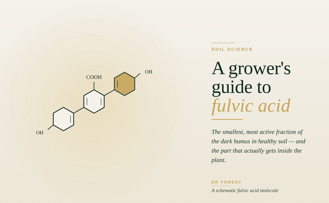 What is fulvic acid?