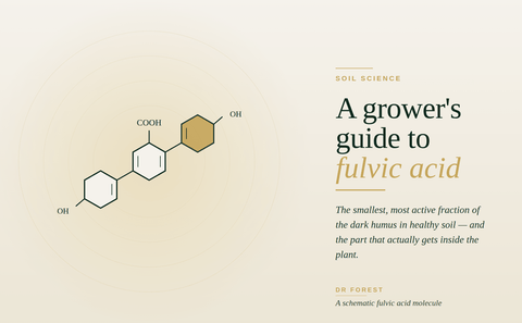What is fulvic acid?