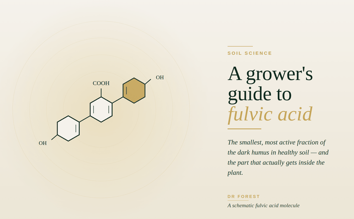What is fulvic acid?