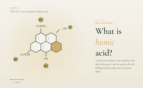 what is humic acid?