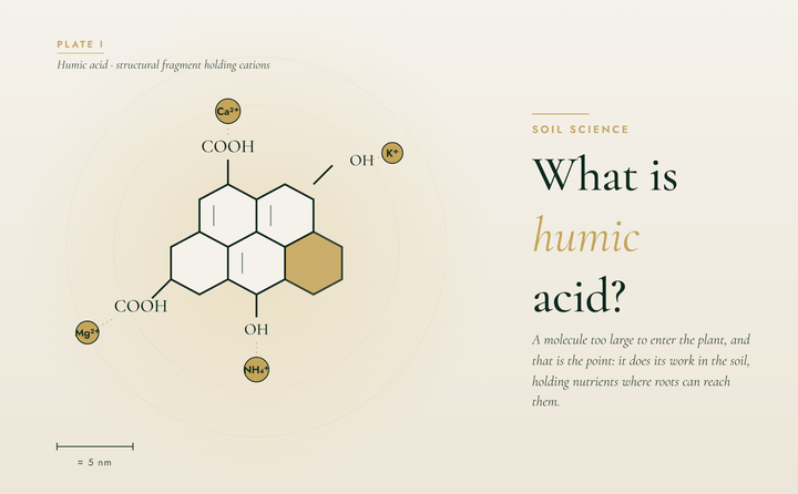 What is humic acid?