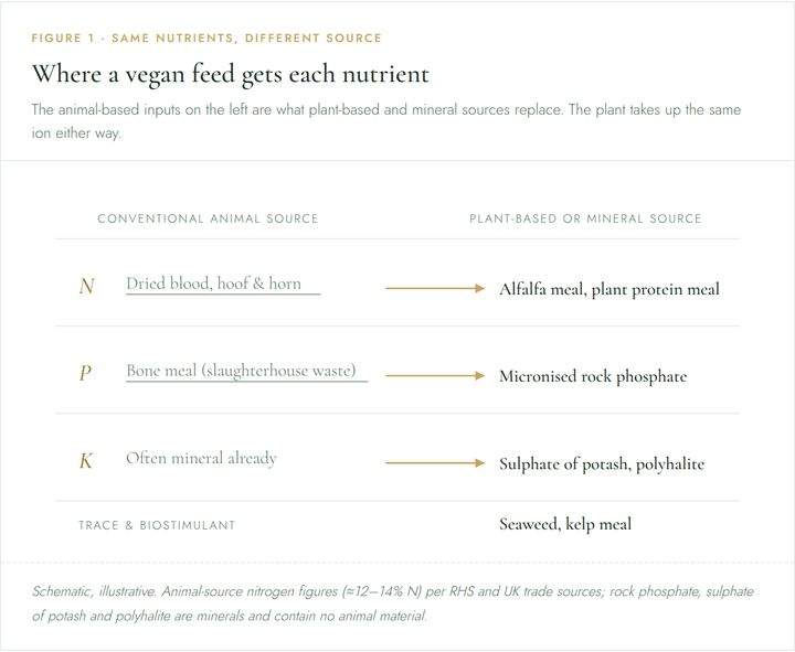 What is vegan fertiliser? A UK grower's guide