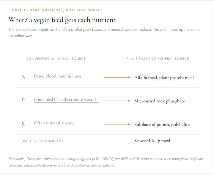 What is vegan fertiliser? A UK grower's guide