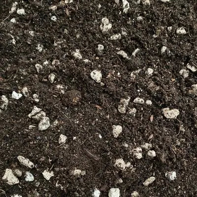 Soil