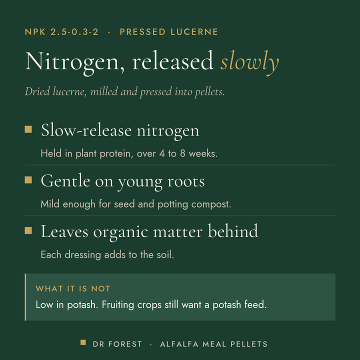 Dr Forest Alfalfa Meal Pellets 2.5-0.3-2 benefits: slow-release nitrogen, gentle on young roots, leaves organic matter behind