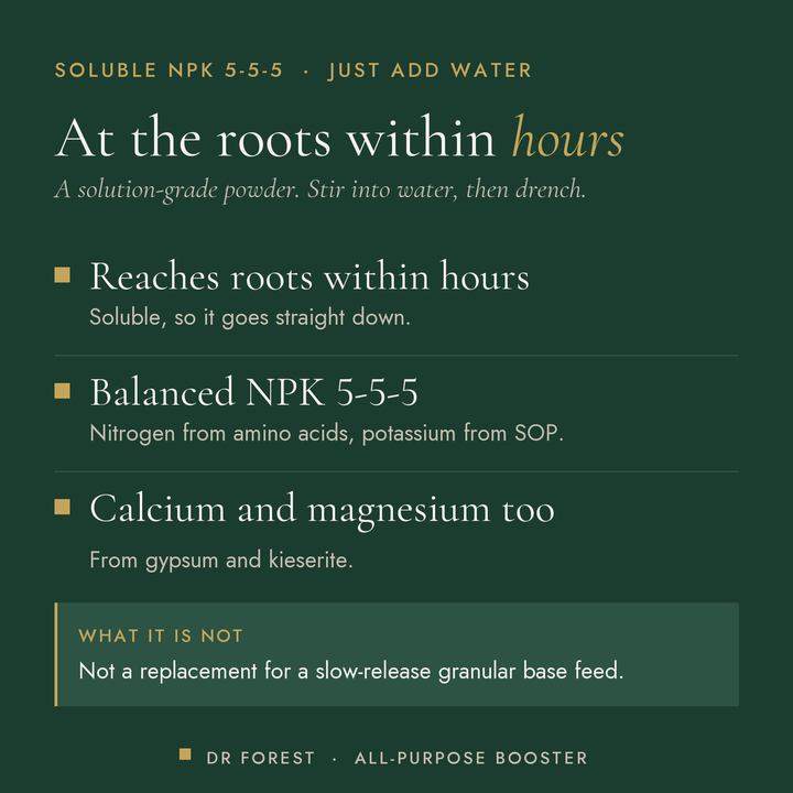 Dr Forest All-Purpose Booster 5-5-5 solution-grade powder benefits: reaches roots within hours, balanced npk 5-5-5, calcium…