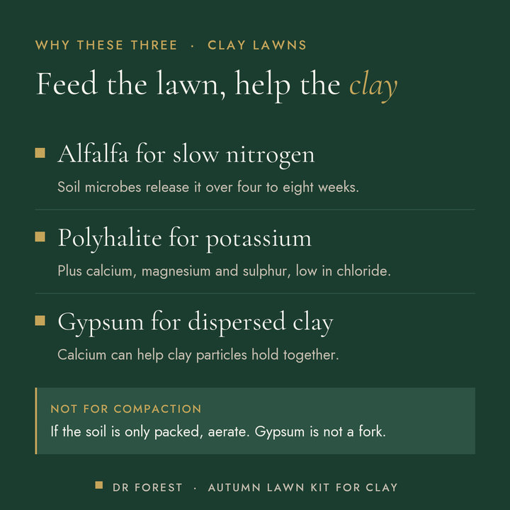 Dr Forest Autumn Lawn Feed for Clay, with Gypsum (bundle) benefits: alfalfa for slow nitrogen, polyhalite for potassium…