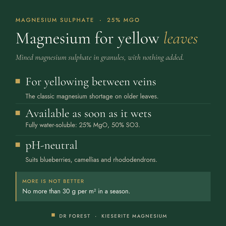 Dr Forest Kieserite magnesium sulphate fertiliser, 25% MgO benefits: for yellowing between veins, available as soon as it…