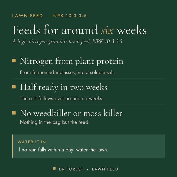Dr Forest Lawn Fertiliser 10-3-3.5 benefits: nitrogen from plant protein, half ready in two weeks, no weedkiller or moss…