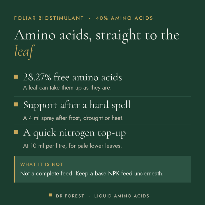 Dr Forest Liquid Amino Acids, foliar biostimulant benefits: 28.27% free amino acids, support after a hard spell, a quick…