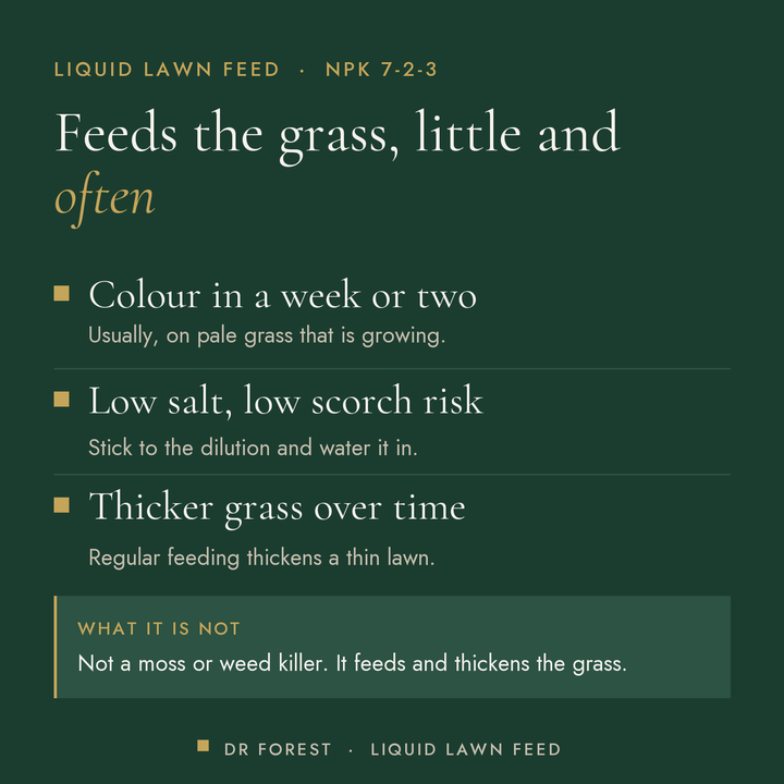 Dr Forest Liquid Lawn Feed 7-2-3 benefits: colour in a week or two, low salt, low scorch risk, thicker grass over time