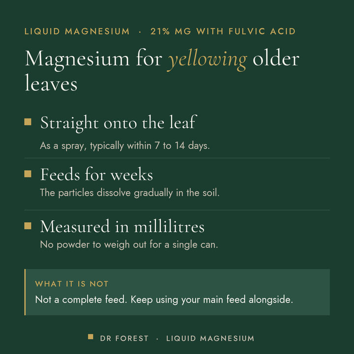 Dr Forest Liquid Magnesium 21% Mg benefits: straight onto the leaf, feeds for weeks, measured in millilitres