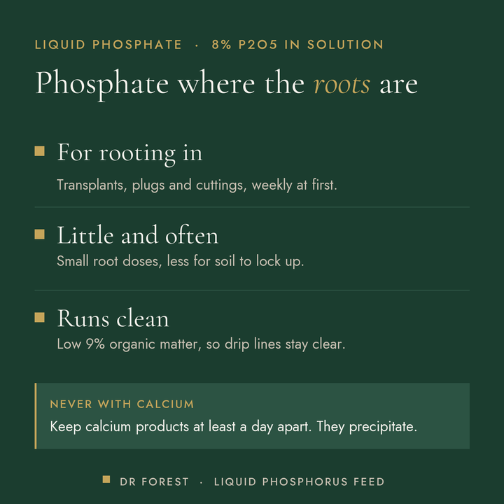 Dr Forest Liquid Phosphorus 8% P2O5 benefits: for rooting in, little and often, runs clean