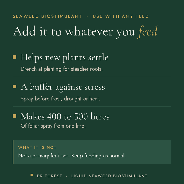 Dr Forest Liquid Seaweed Brix+ Biostimulant benefits: helps new plants settle, a buffer against stress, makes 400 to 500…