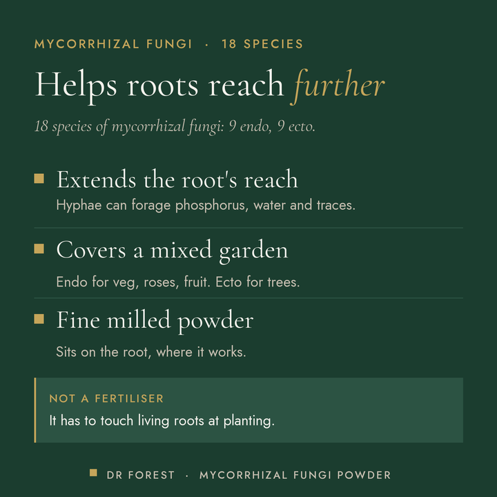 Dr Forest Mycorrhizal Fungi Powder, 18 species endo + ecto benefits: extends the root's reach, covers a mixed garden, fine…