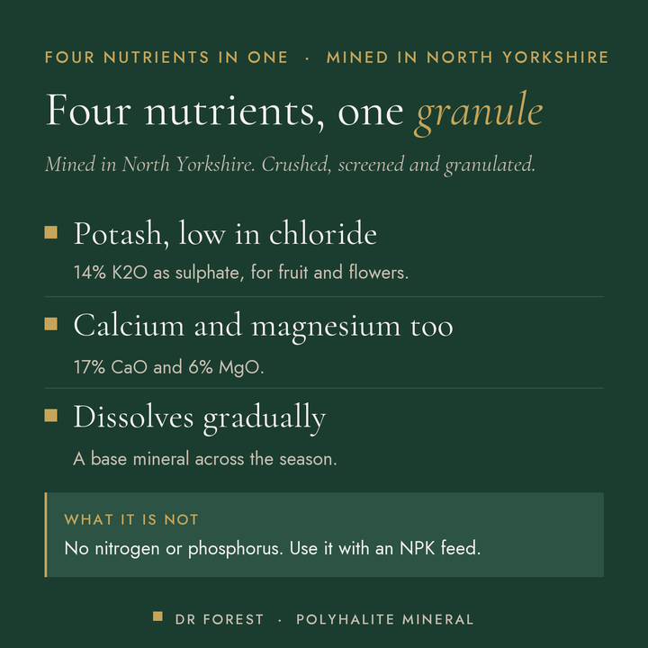 Dr Forest Polyhalite, 4-in-1 mineral (K, Ca, Mg, S) benefits: potash, low in chloride, calcium and magnesium too, dissolves…