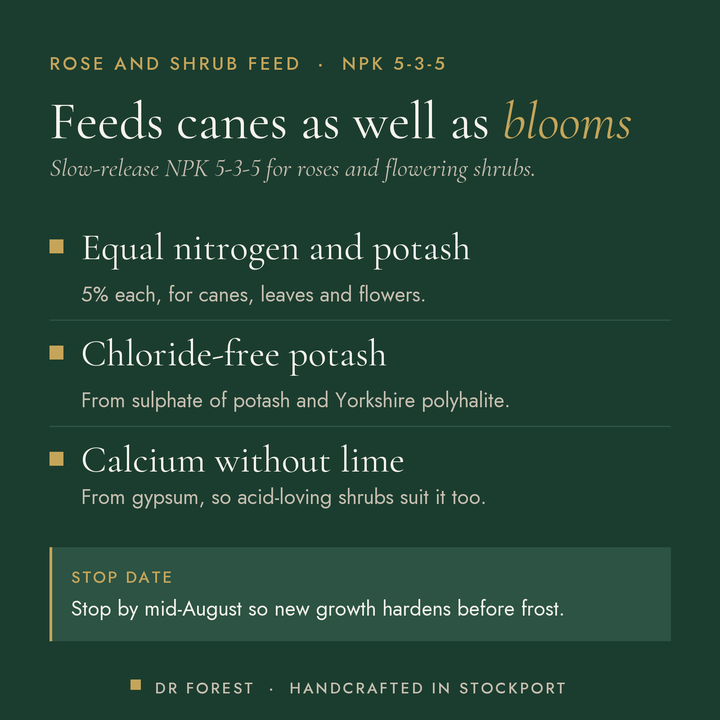 Dr Forest Rose & Shrub Feed 5-3-5 benefits: equal nitrogen and potash, chloride-free potash, calcium without lime