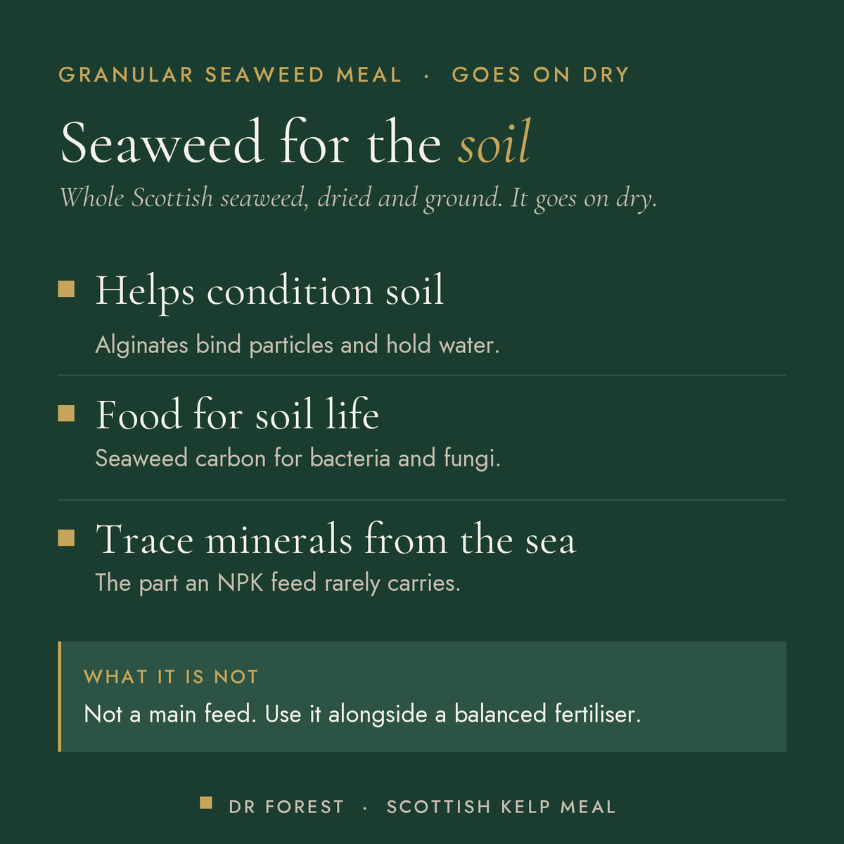 Dr Forest Scottish Kelp Meal, granular seaweed benefits: helps condition soil, food for soil life, trace minerals from the…
