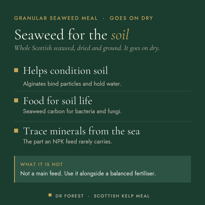 Dr Forest Scottish Kelp Meal, granular seaweed benefits: helps condition soil, food for soil life, trace minerals from the…