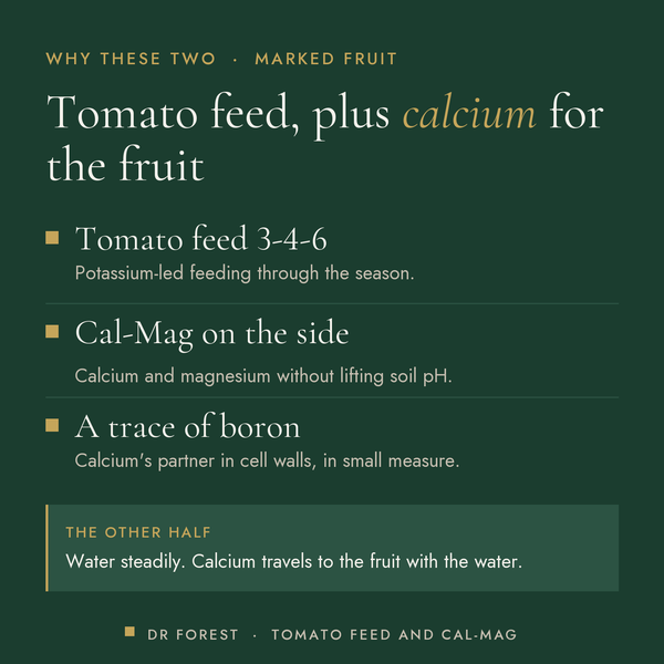 Dr Forest Tomato Feed & Cal-Mag Pair (bundle) benefits: tomato feed 3-4-6, cal-mag on the side, a trace of boron