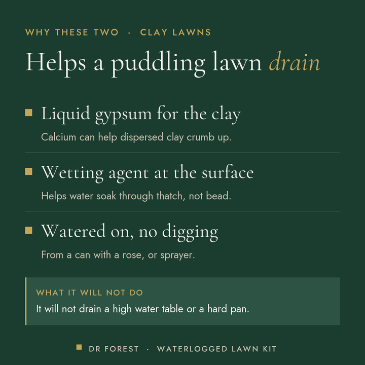 Dr Forest Waterlogged Lawn Kit (bundle) benefits: liquid gypsum for the clay, wetting agent at the surface, watered on, no…