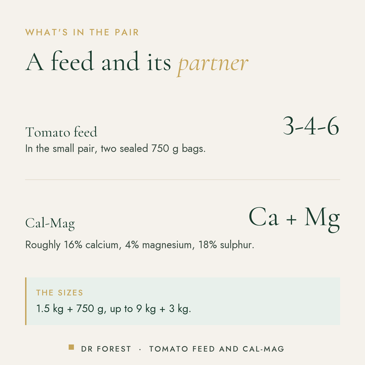 How to use Dr Forest Tomato Feed & Cal-Mag Pair (bundle): Tomato feed 3-4-6; Cal-Mag Ca + Mg