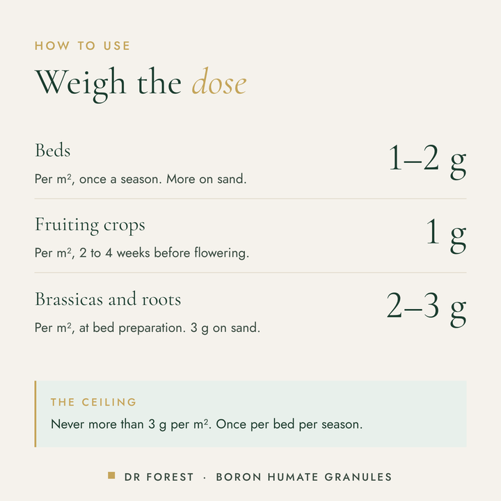 How to use Dr Forest Boron Humate Granules, 3.23% boron: Beds 1-2 g per m²; Fruiting crops 1 g per m²; Brassicas and roots 2-3 g per m²; never more than 3 g per m²