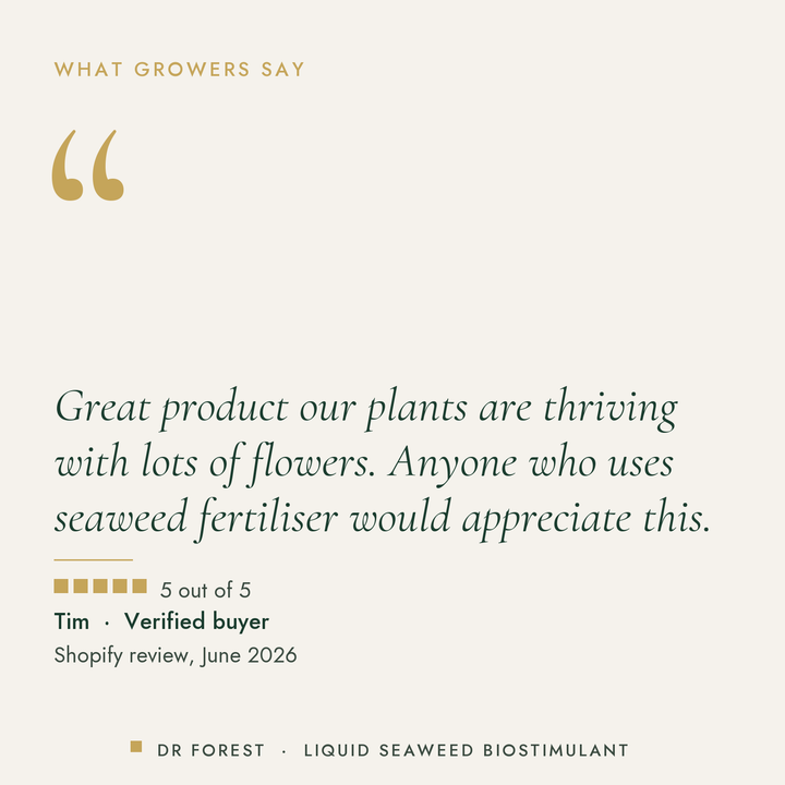 Customer review of Dr Forest Liquid Seaweed Brix+ Biostimulant, 5 out of 5: Great product our plants are thriving with lots…