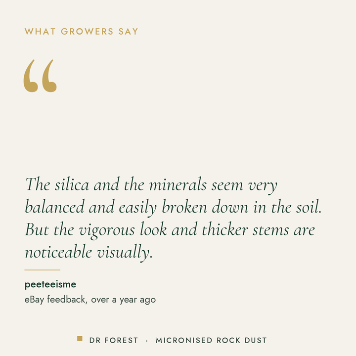 Customer review of Dr Forest Micronised Volcanic Rock Dust: The silica and the minerals seem very balanced and easily…