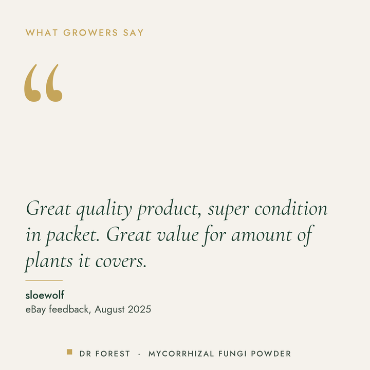 Customer review of Dr Forest Mycorrhizal Fungi Powder, 18 species endo + ecto: Great quality product, super condition in…