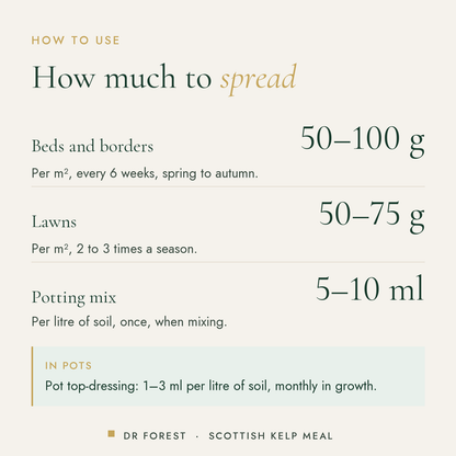 How to use Dr Forest Scottish Kelp Meal, granular seaweed: Beds and borders 50-100 g; Lawns 50-75 g; Potting mix 5-10 ml