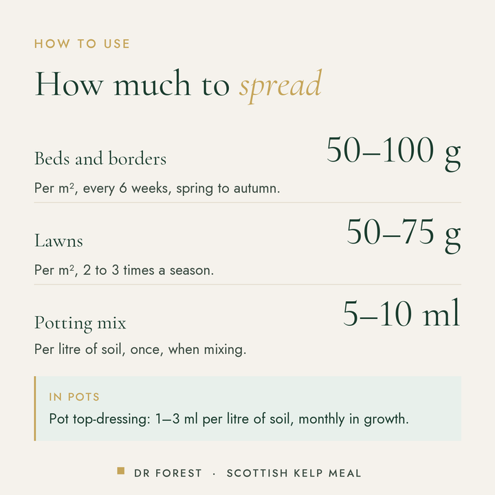 How to use Dr Forest Scottish Kelp Meal, granular seaweed: Beds and borders 50-100 g; Lawns 50-75 g; Potting mix 5-10 ml