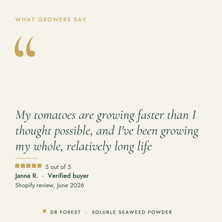 Customer review of Dr Forest Seaweed Powder, soluble Ascophyllum nodosum extract, 5 out of 5: My tomatoes are growing…
