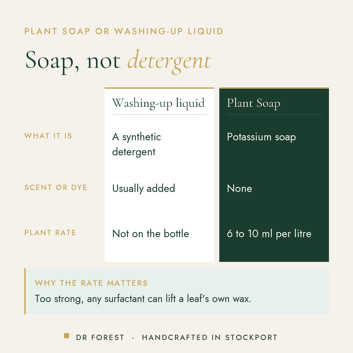 Dr Forest Plant Soap, potassium soft soap compared with washing-up liquid: what it is, scent or dye, plant rate