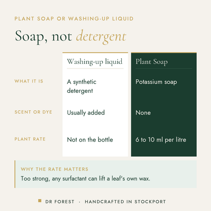 Dr Forest Plant Soap, potassium soft soap compared with washing-up liquid: what it is, scent or dye, plant rate