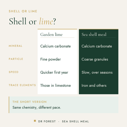 Dr Forest Sea Shell Meal, crushed shell calcium compared with garden lime: mineral, particle, speed, trace elements