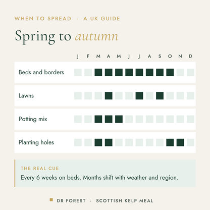 When to use Dr Forest Scottish Kelp Meal, granular seaweed in the UK, month by month: beds and borders, lawns, potting mix…
