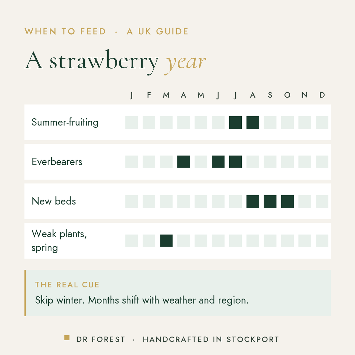 When to use Dr Forest Strawberry Feed 3-2-7 in the UK, month by month: summer-fruiting, everbearers, new beds, weak plants…