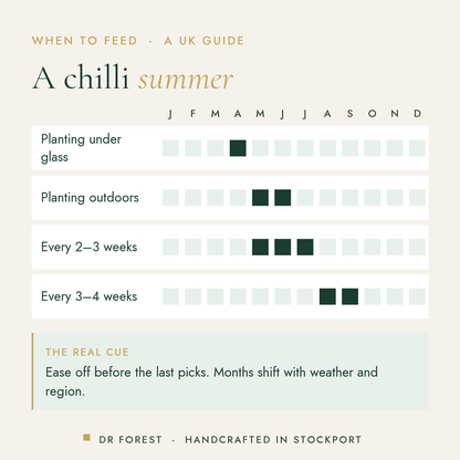When to use Dr Forest Chilli & Pepper Fertiliser 3-3.5-7 in the UK, month by month: planting under glass, planting…