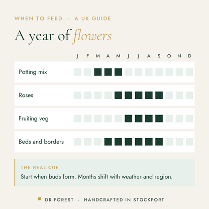 When to use Dr Forest Organic Bloom Fertiliser 2-8-4 in the UK, month by month: potting mix, roses, fruiting veg, beds and…