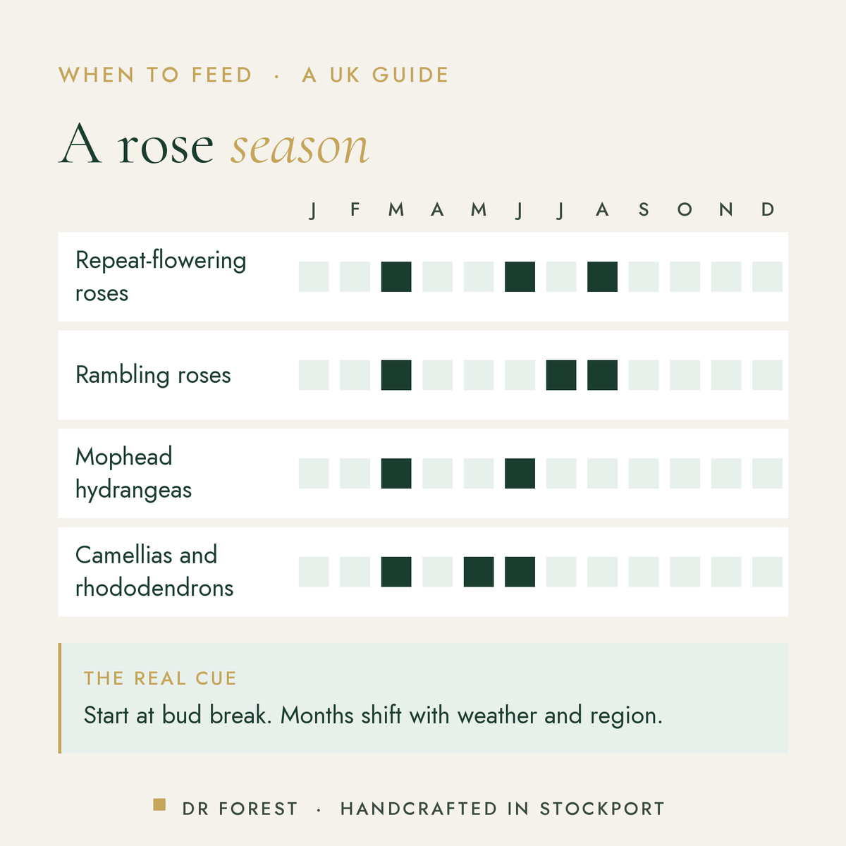When to use Dr Forest Rose & Shrub Feed 5-3-5 in the UK, month by month: repeat-flowering roses, rambling roses, mophead…