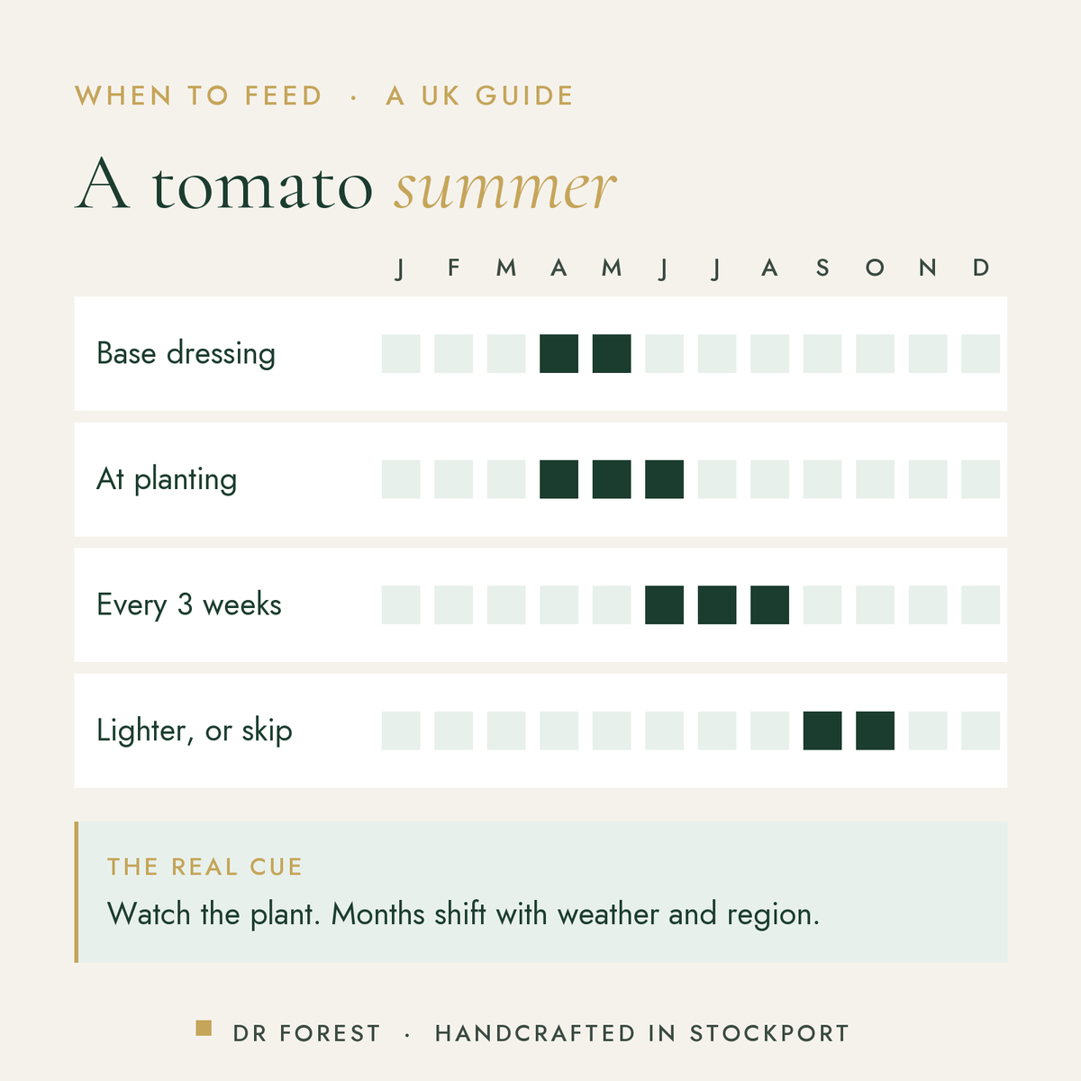 When to use Dr Forest Tomato Feed 3-4-6 in the UK, month by month: base dressing, at planting, every 3 weeks, lighter, or…