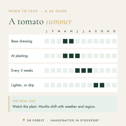 When to use Dr Forest Tomato Feed 3-4-6 in the UK, month by month: base dressing, at planting, every 3 weeks, lighter, or…