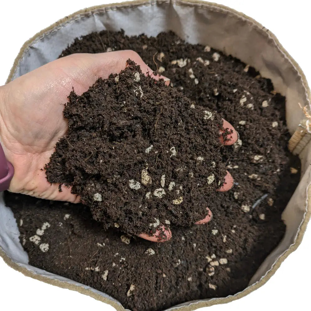 Ecothrive Living Soil